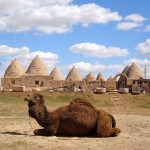 Harran Kumbet house cluster (Photo Aigerim Korzhumbayeva, 2011)