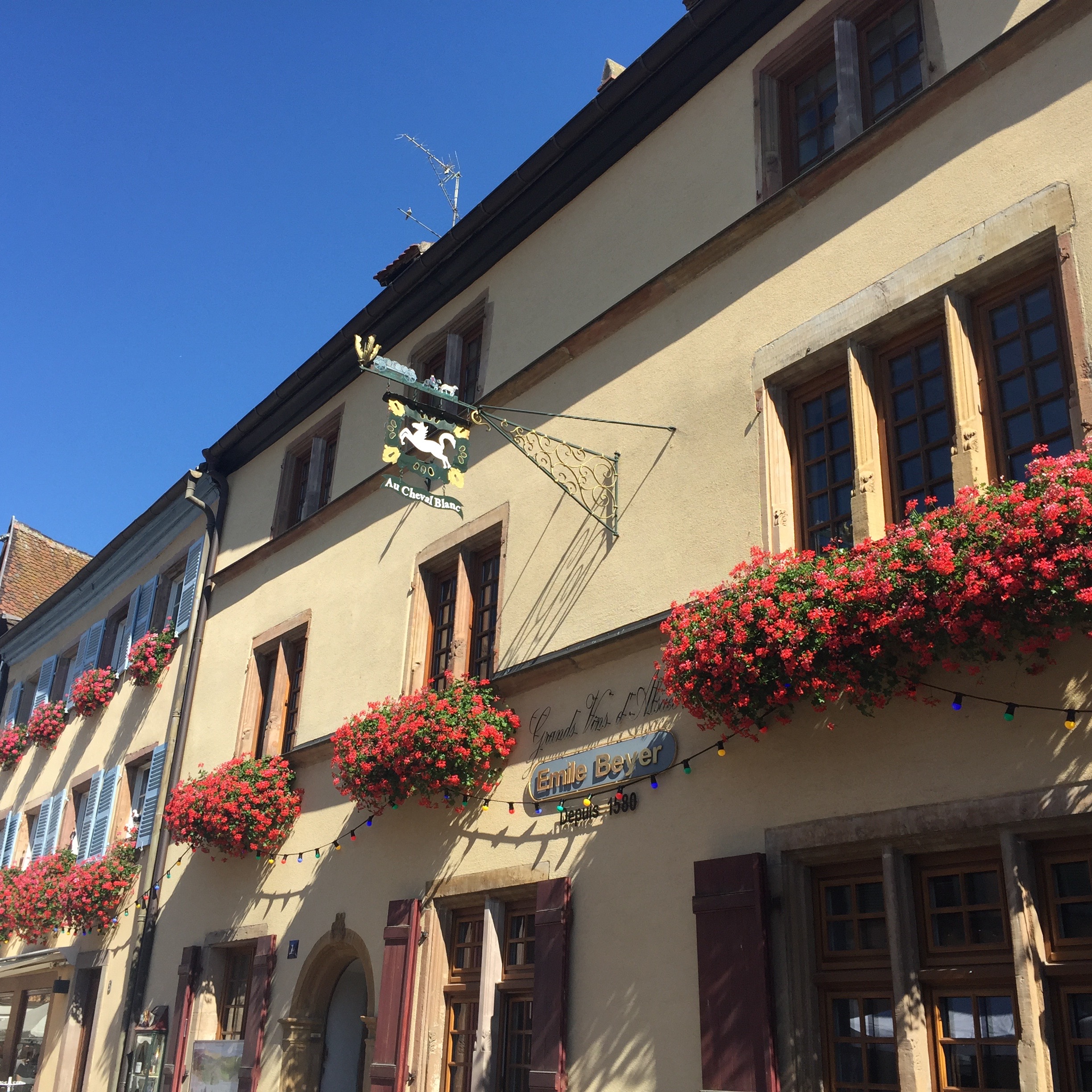 Eguisheim 1