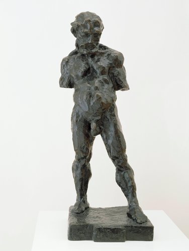matisse-serf